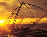 cochin sunset