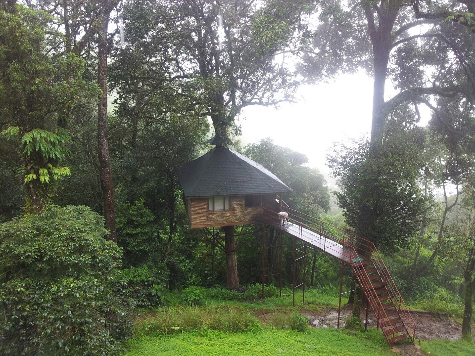 Munnar Tree House